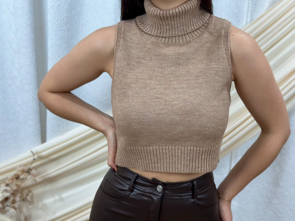 Knitted Turtle Neck Top